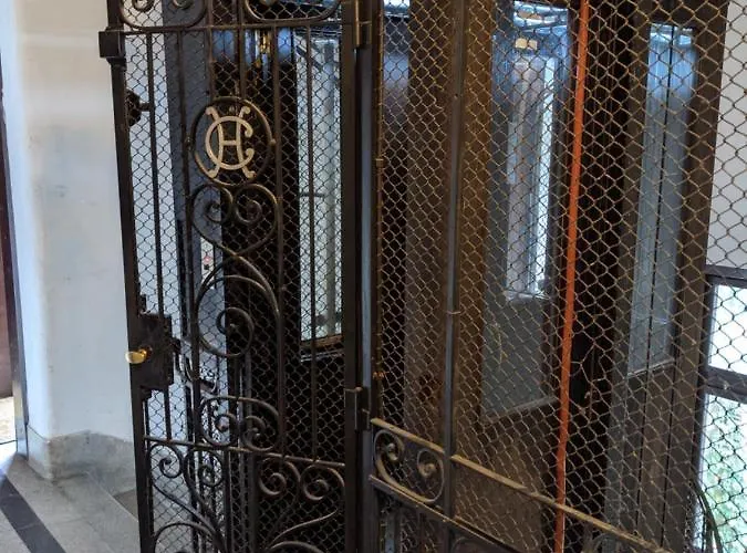 Danka Белград